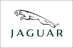 Ricambi Jaguar d'epoca