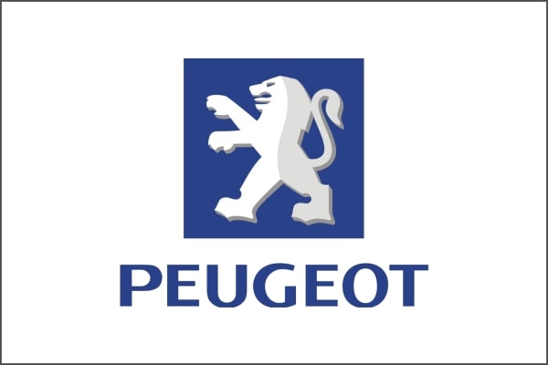Ricambi Peugeot d'epoca